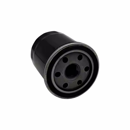 Linhai UTV 700 EFI 4x4 Oil Fliter | Linhai Parts