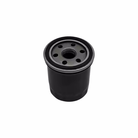 Linhai UTV 700 EFI 4x4 Oil Fliter | Linhai Parts